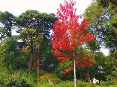 -香山公园