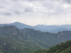 -大岭沟猕猴桃谷风景区