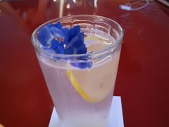 无酒精鸡尾酒-池畔酒吧 WET Bar