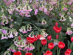 -白云山索道-售票处