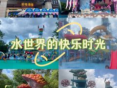 -苏州乐园森林水世界