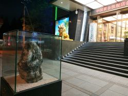 -中国黄金(北京旗舰店)