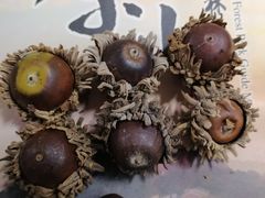 -上海佘山国家森林公园天马山园