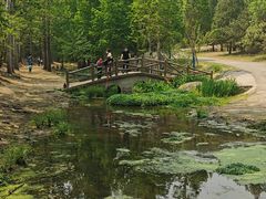 -白水寺森林公园