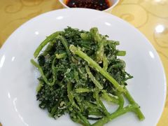 拌沙葱-新疆巴州金丝特餐厅(大钟寺店)