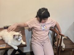 -楼上猫咖(罗湖店)