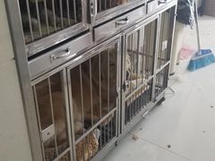 -北京观赏动物医院·24小时大型综合·猫专科·异宠专科
