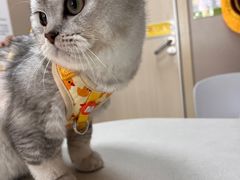 -瑞鹏宠物医院·超声·骨科·奇麟分院(蜀都万达店)