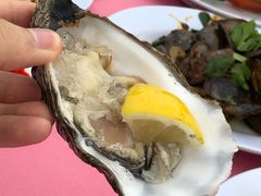 -旗鱼海番村(Orang Asli)