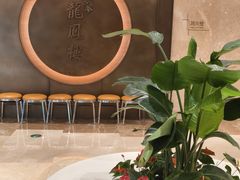 -香港龙凤楼(陆家嘴中心店)