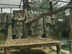 -石家庄市动物园