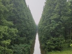 -黄海国家森林公园