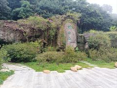 -梧桐山风景名胜区