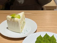 -猫里有甜