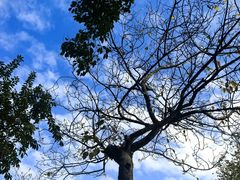 -广州七星岗古海岸遗址科学公园