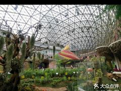 -花之城