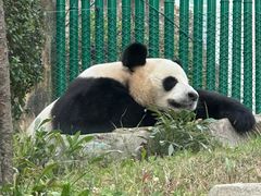 -大连森林动物园