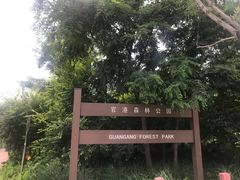 -官港森林公园
