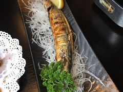 -春草居酒屋·晴子の店