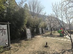 -西西里轰趴日租聚会别墅·团建拓展