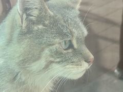 -青藏高原野生动物园
