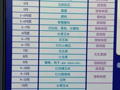 -菊园百果园