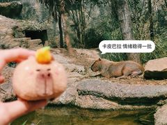 -红山森林动物园