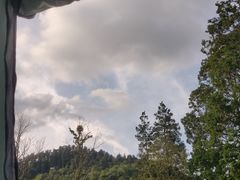 -贵州省植物园