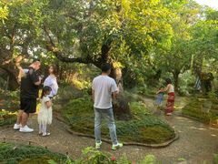 -Chom Cafe and Restaurant