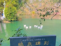 -靖西鹅泉风景区