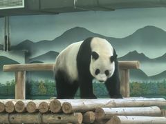 -柳州市动物园