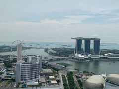 -新加坡瑞士史丹福酒店