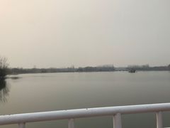 -大兴滨河森林公园