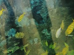 -苏州海洋馆