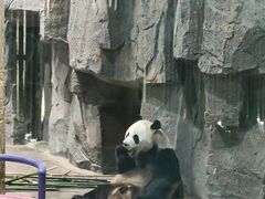 -栾川竹海野生动物园