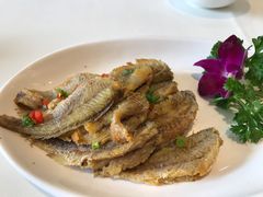 糟小黄鱼-绍兴饭店知遇楼(环山路店)