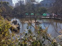 -昆明动物园
