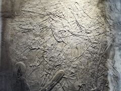 -贵州省地质博物馆