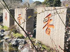 -香雪海