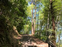 -东天目山风景区