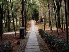 -大奇山国家森林公园