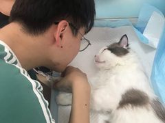-灵美宠物诊所