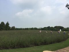-同里国家湿地公园