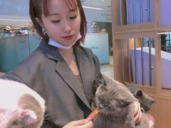 -猫冇咖·家门口的撸猫馆(大融城店)