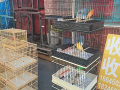 -哈尔滨道外花鸟鱼市场