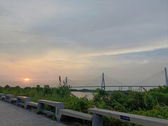 -芒洲湿地公园