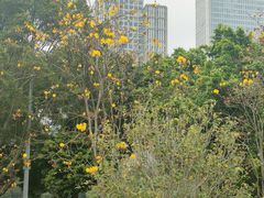 -海心沙亚运公园