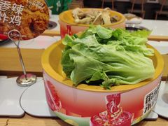 -龍歌自助小火锅(崂山丽达店)