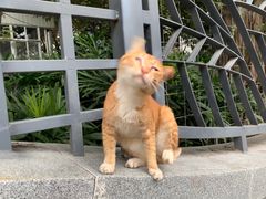 -闽南肠粉(鼓浪屿总店)