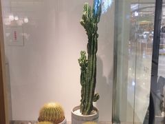 -喜茶(深圳东门1234店)